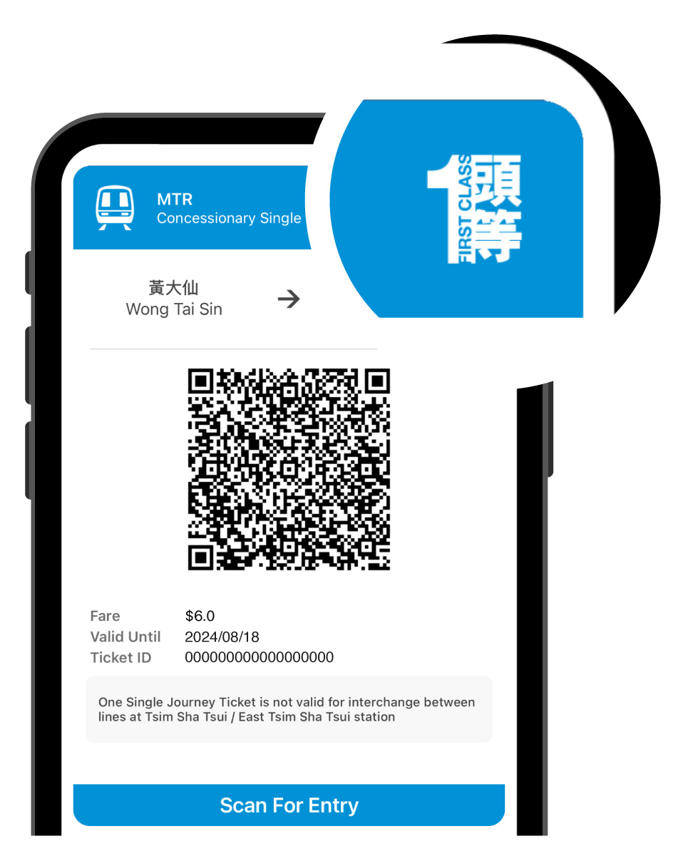 Concessionary Single Journey Ticket - First Class