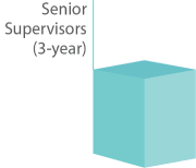 Senior Supervisors (3-years)